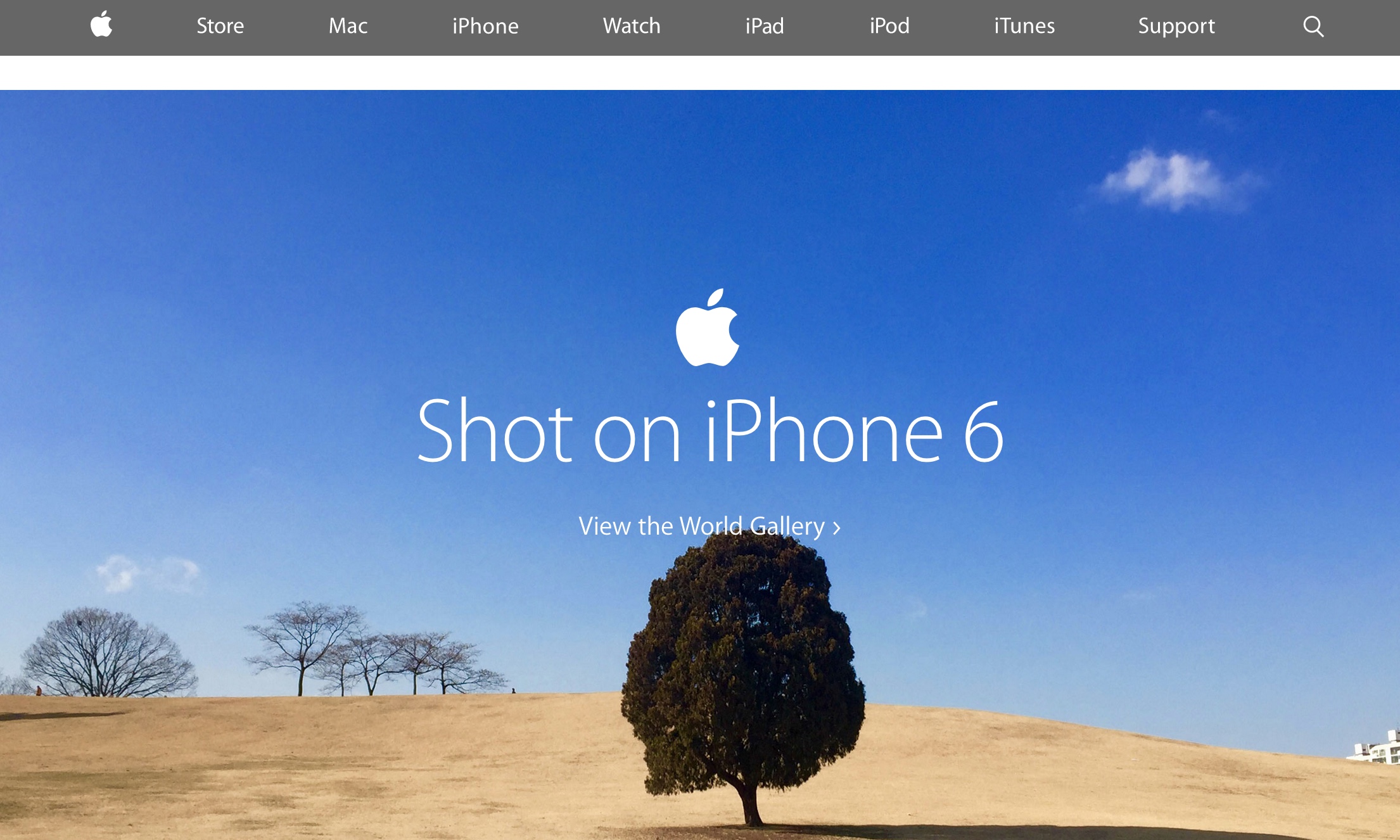 Homepage with photo taken on the iPhone 6 (2015)